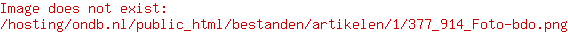 BDO Accountants & Belastingadviseurs B.V.