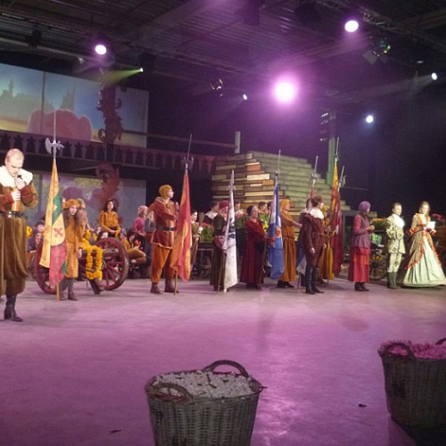 zwaertetulp musical(1)